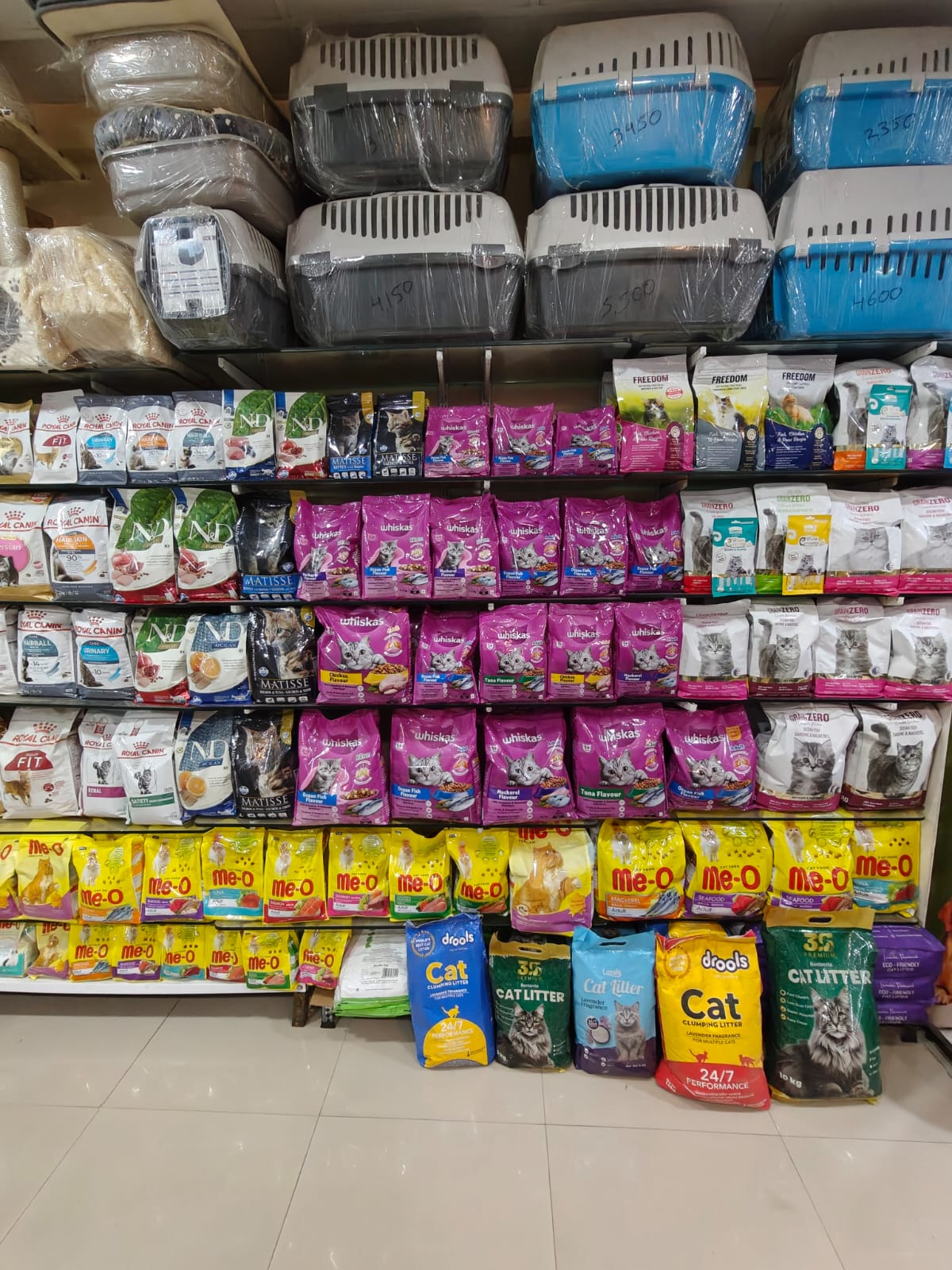 Sarvadnya Pet Care Unit veterinary clinic, Pune